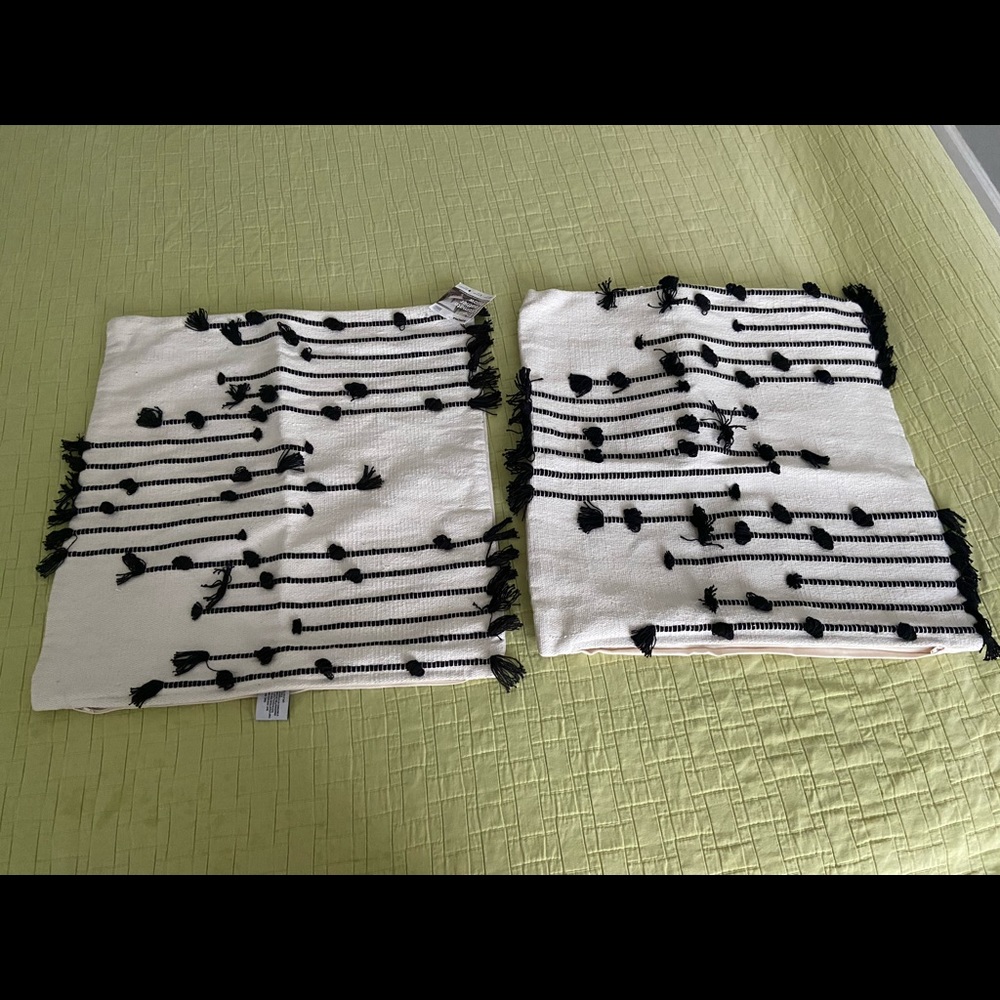 2 Decor Pillow Cases size 20x20inch